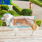 Chubasquero transparente para perros