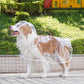 Chubasquero transparente para perros