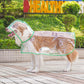 Chubasquero transparente para perros