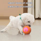 🎁Pelota interactiva Smart Pet Bounce🐶