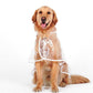 Chubasquero transparente para perros