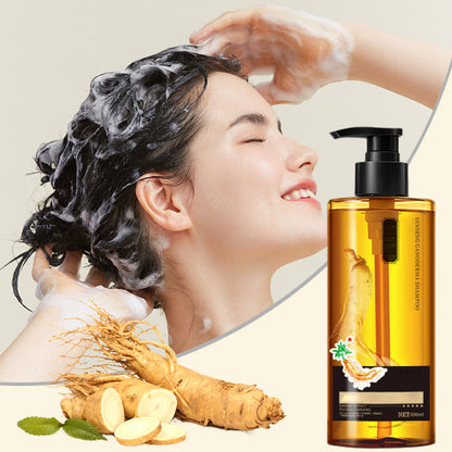 🔥Champú a base de plantas para el control de la grasa y la reparación del cabello