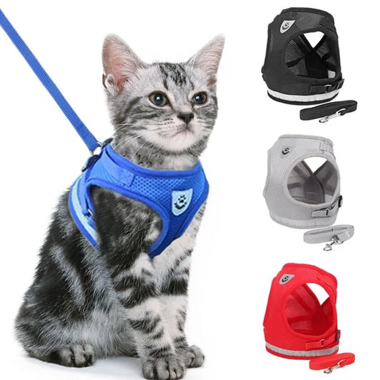 Conjunto de arnés y correa ajustables, transpirables y luminosos para mascotas