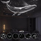 🌌Proyector de Luz Nocturna HD de Galaxia y Océano🥳Dos modos, películas intercambiables y alimentación por USB