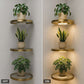 🌿🔥 Estante Flotante con Luz LED para Plantas – Decoración Moderna de Pared que Ilumina tu Hogar ✨🏡
