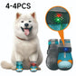 Zapatos Perro Malla Transpirable – Diseño Luminoso, Protege sus Patitas de Nieve, Calor y Asfalto 🐶✨