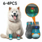 Zapatos Perro Malla Transpirable – Diseño Luminoso, Protege sus Patitas de Nieve, Calor y Asfalto 🐶✨