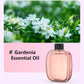 OFERTA ESPECIAL 2026🥳¡Refresca cualquier habitación al instante! Difusor de aromas con temporizador y sin cable