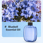OFERTA ESPECIAL 2026🥳¡Refresca cualquier habitación al instante! Difusor de aromas con temporizador y sin cable