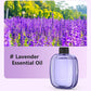 OFERTA ESPECIAL 2026🥳¡Refresca cualquier habitación al instante! Difusor de aromas con temporizador y sin cable